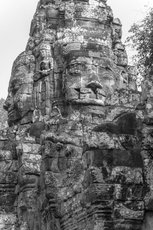 ta prohm-10.jpg